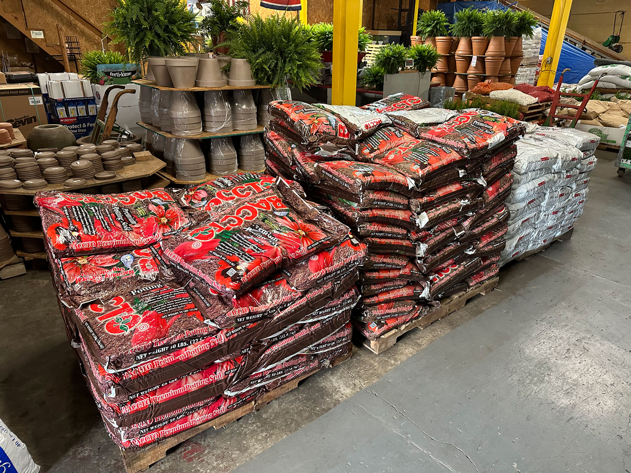 Spring at Pennington