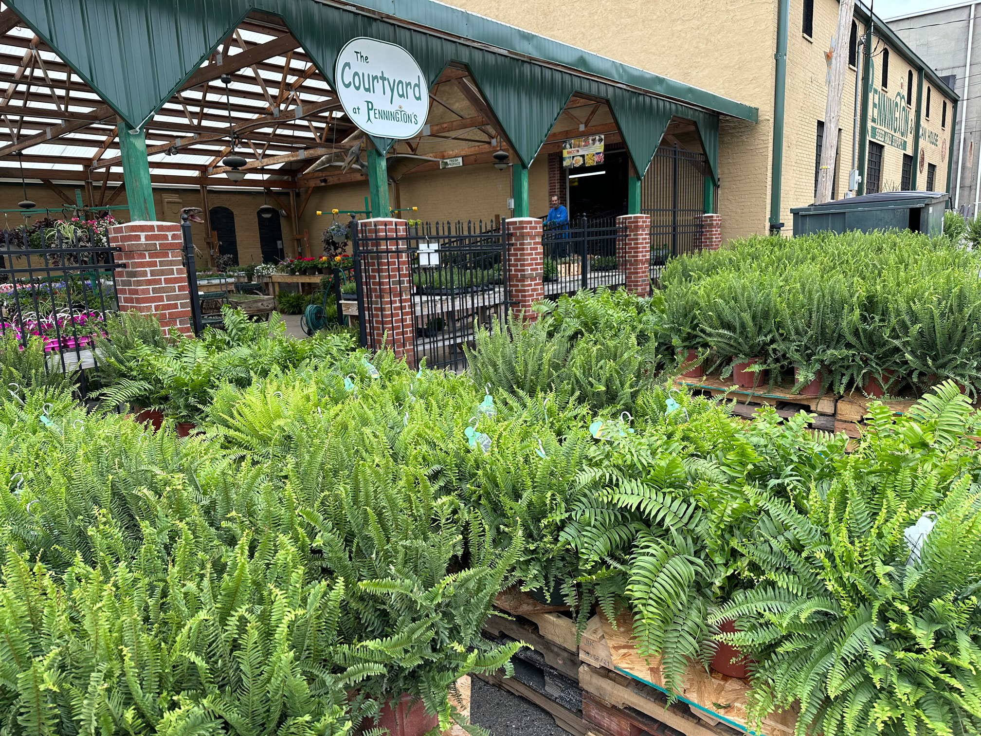 Spring at Pennington