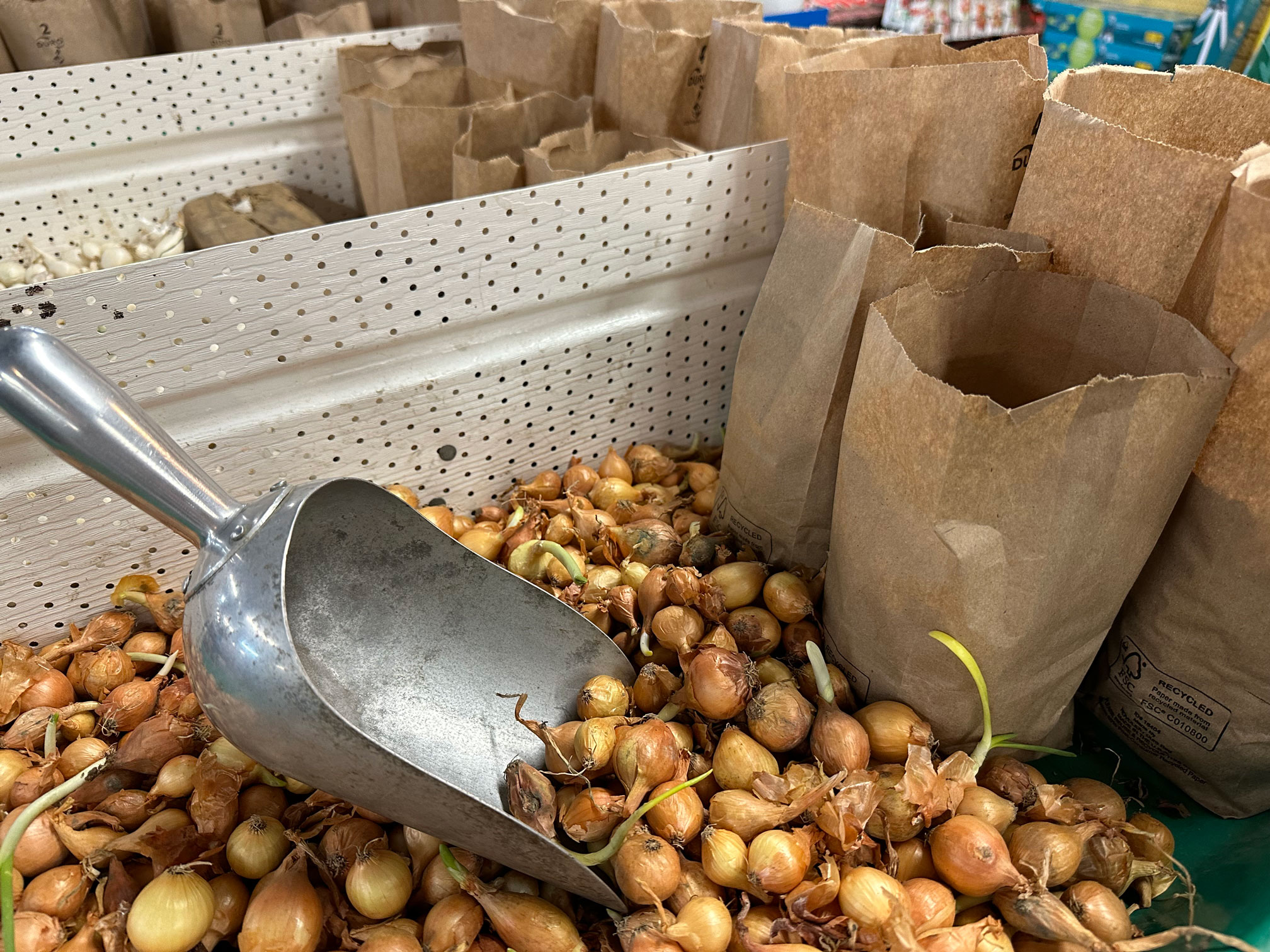 Spring at Pennington