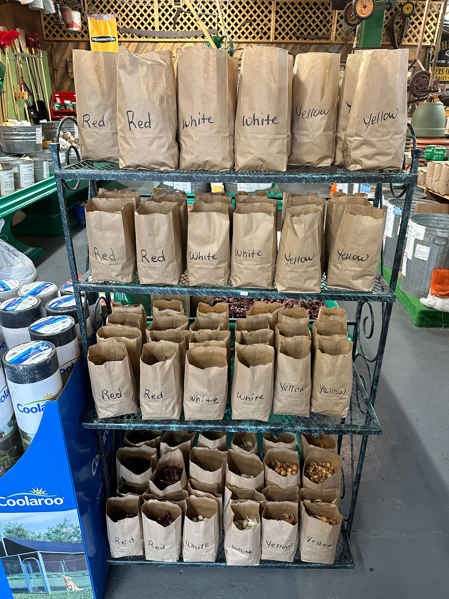 Spring at Pennington