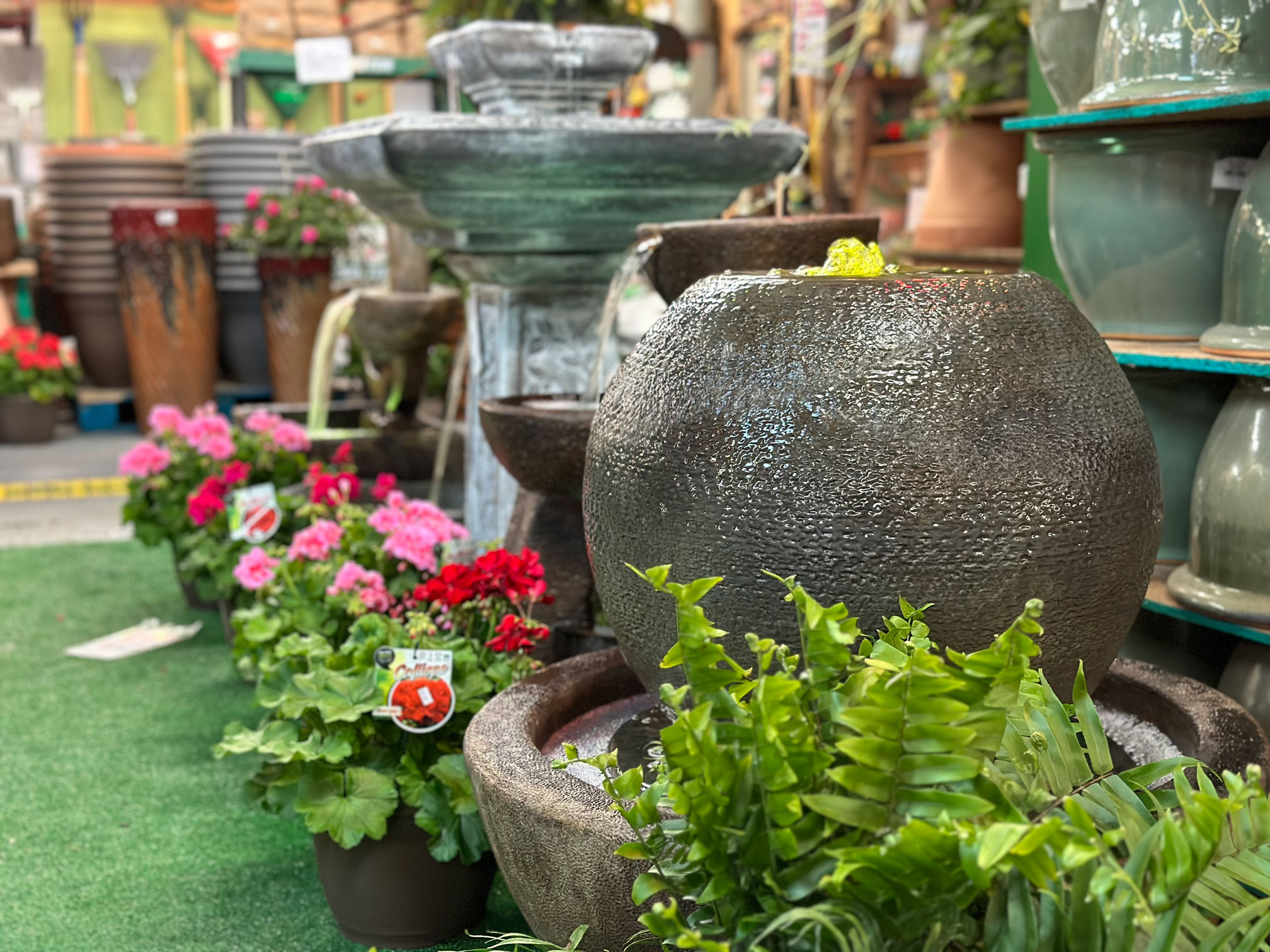 Summer at Pennington