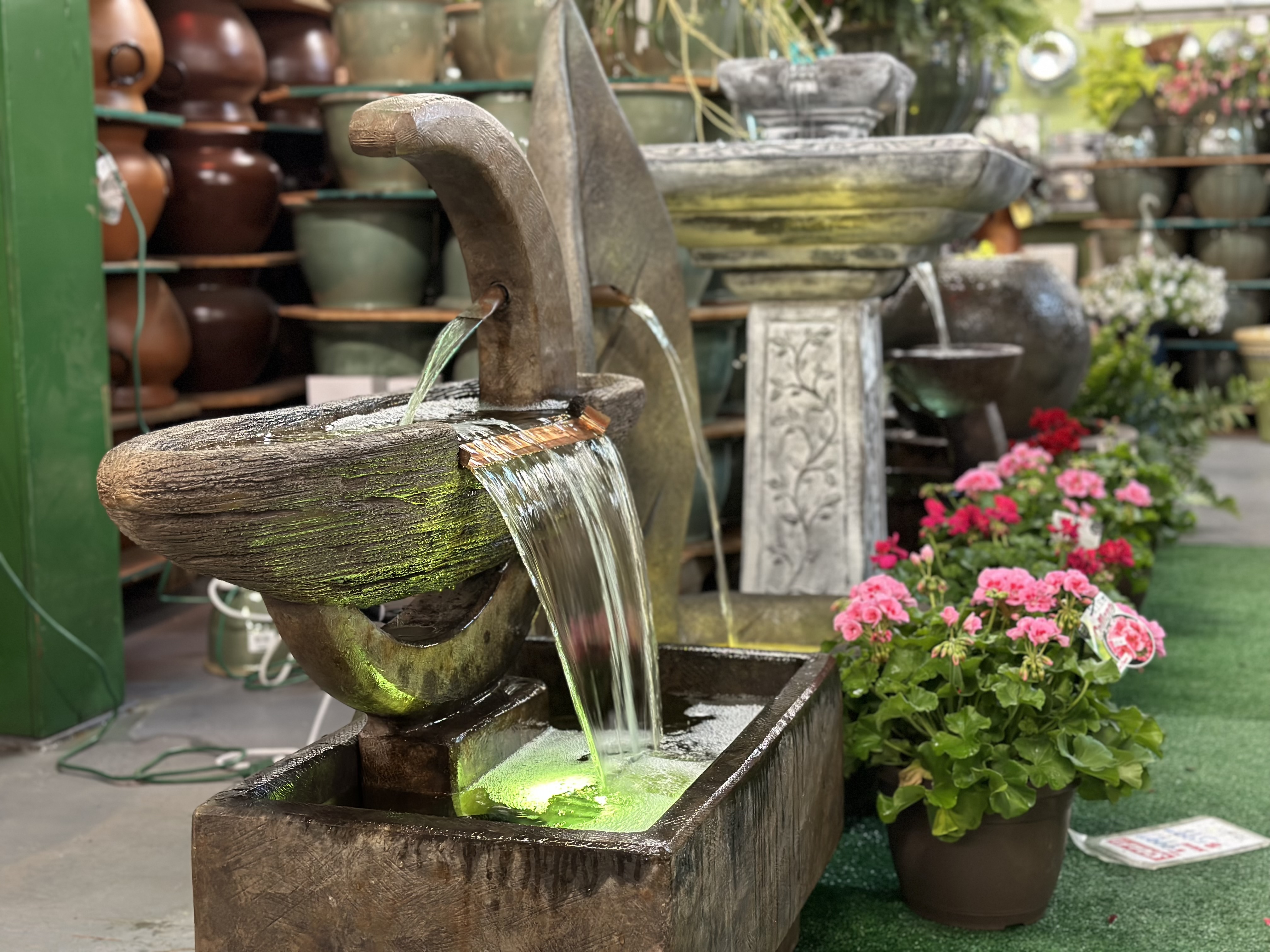 Summer at Pennington