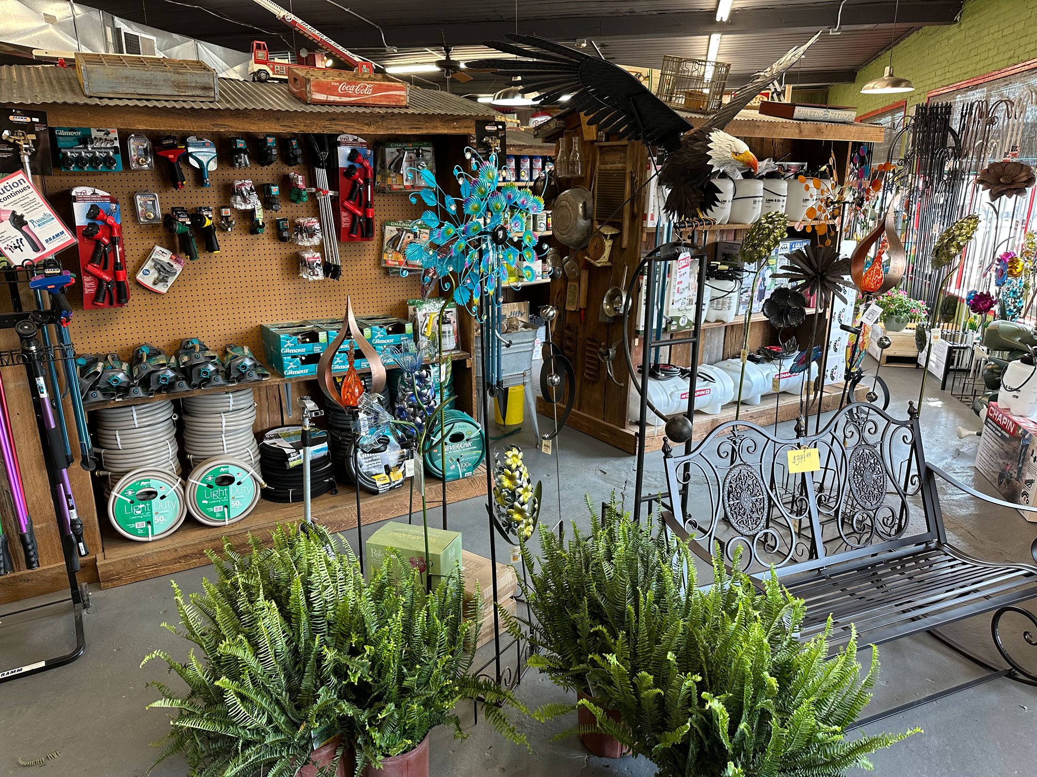 Summer at Pennington