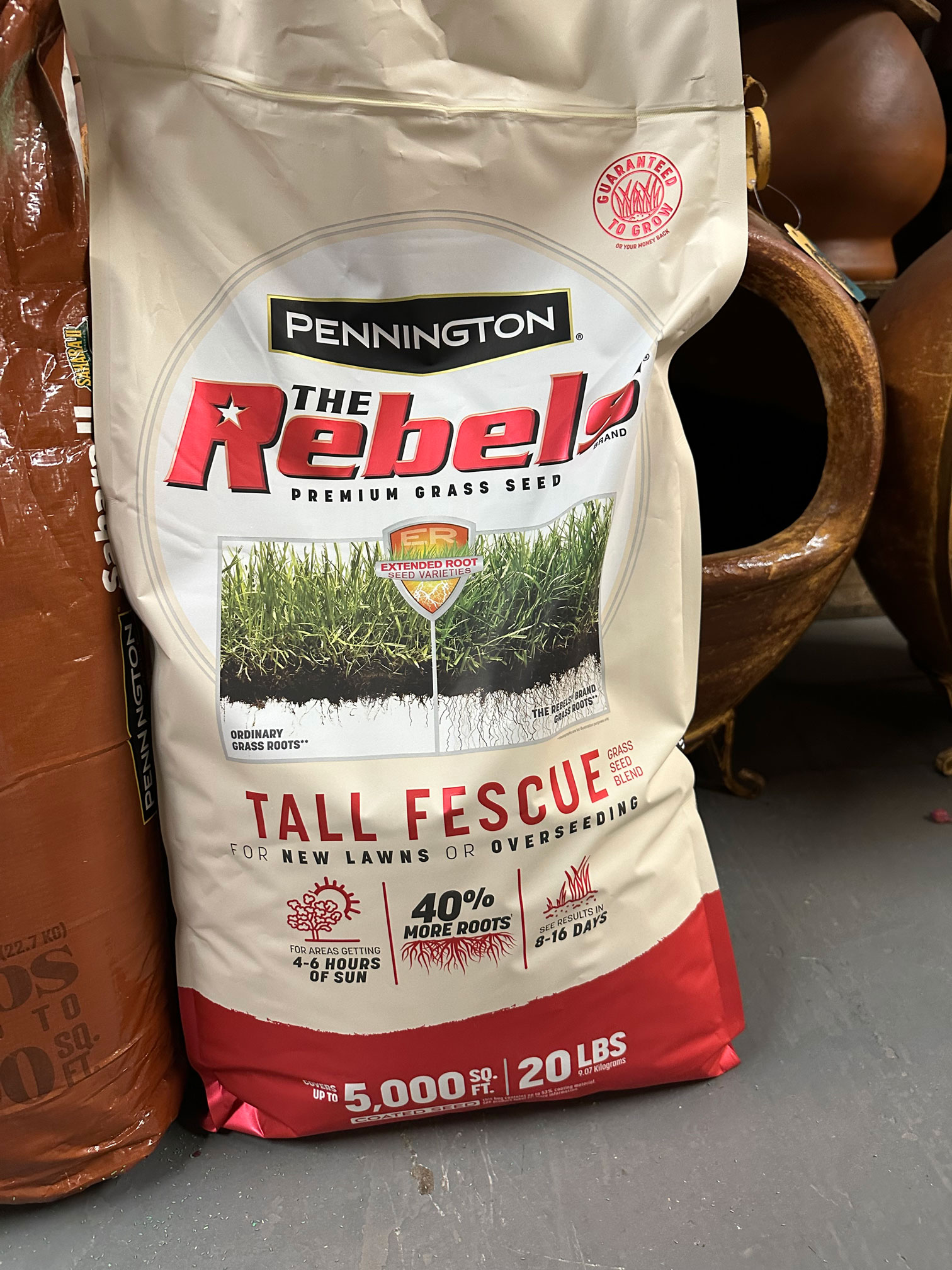 Summer at Pennington